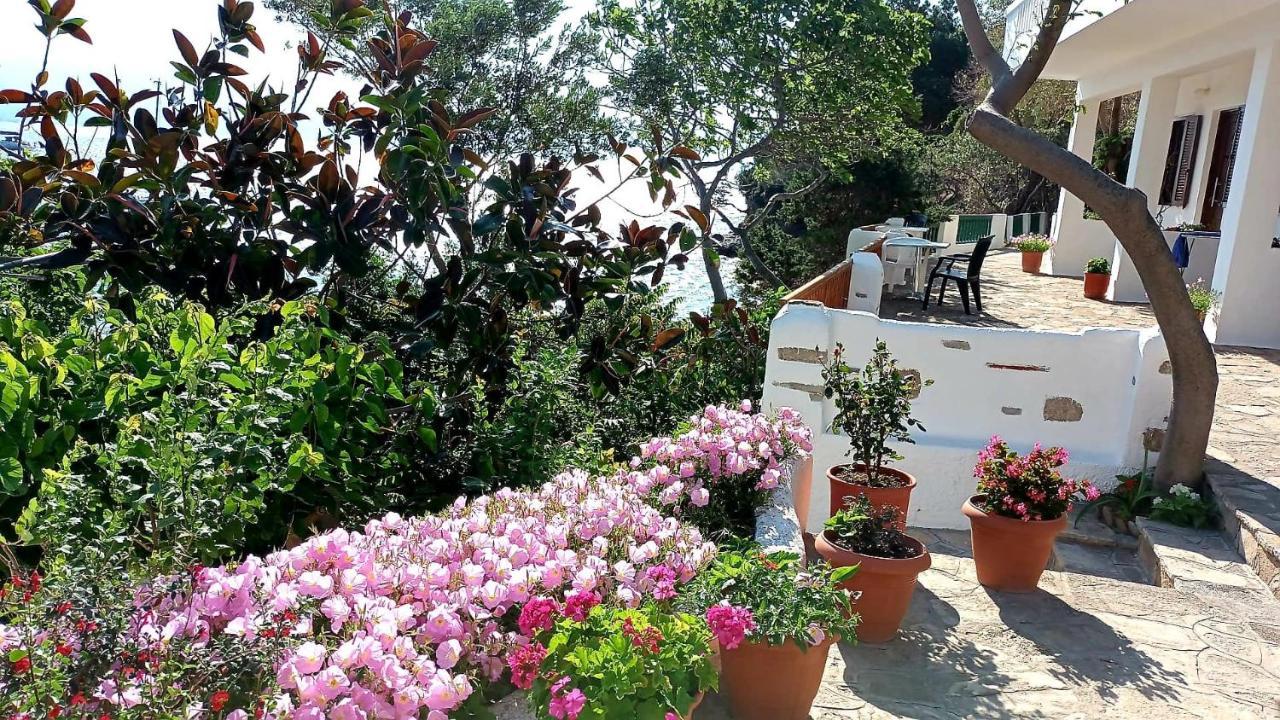 Studios Limnionas Marathókampos Екстериор снимка